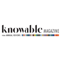 Knowable Magazine